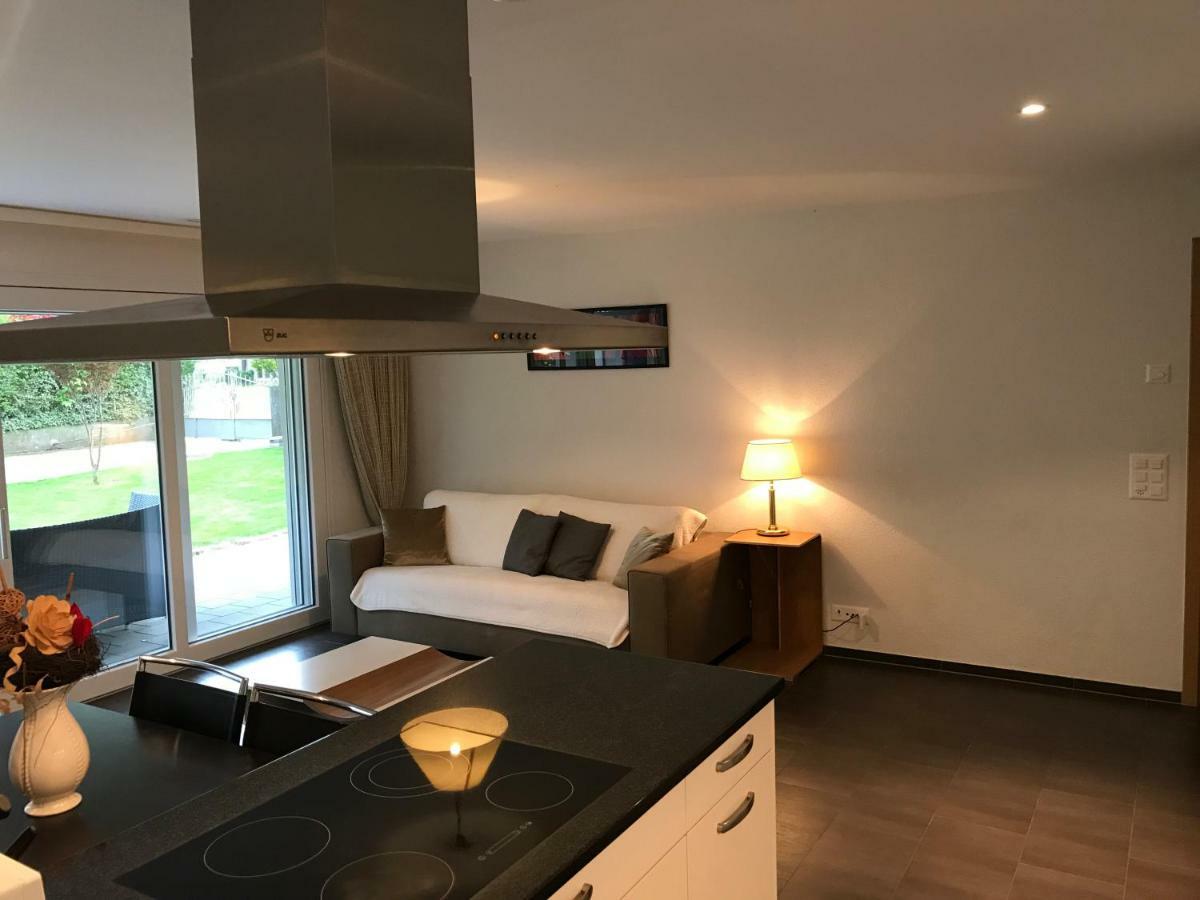 Skender'S Apartment Ιντερλάκεν Εξωτερικό φωτογραφία